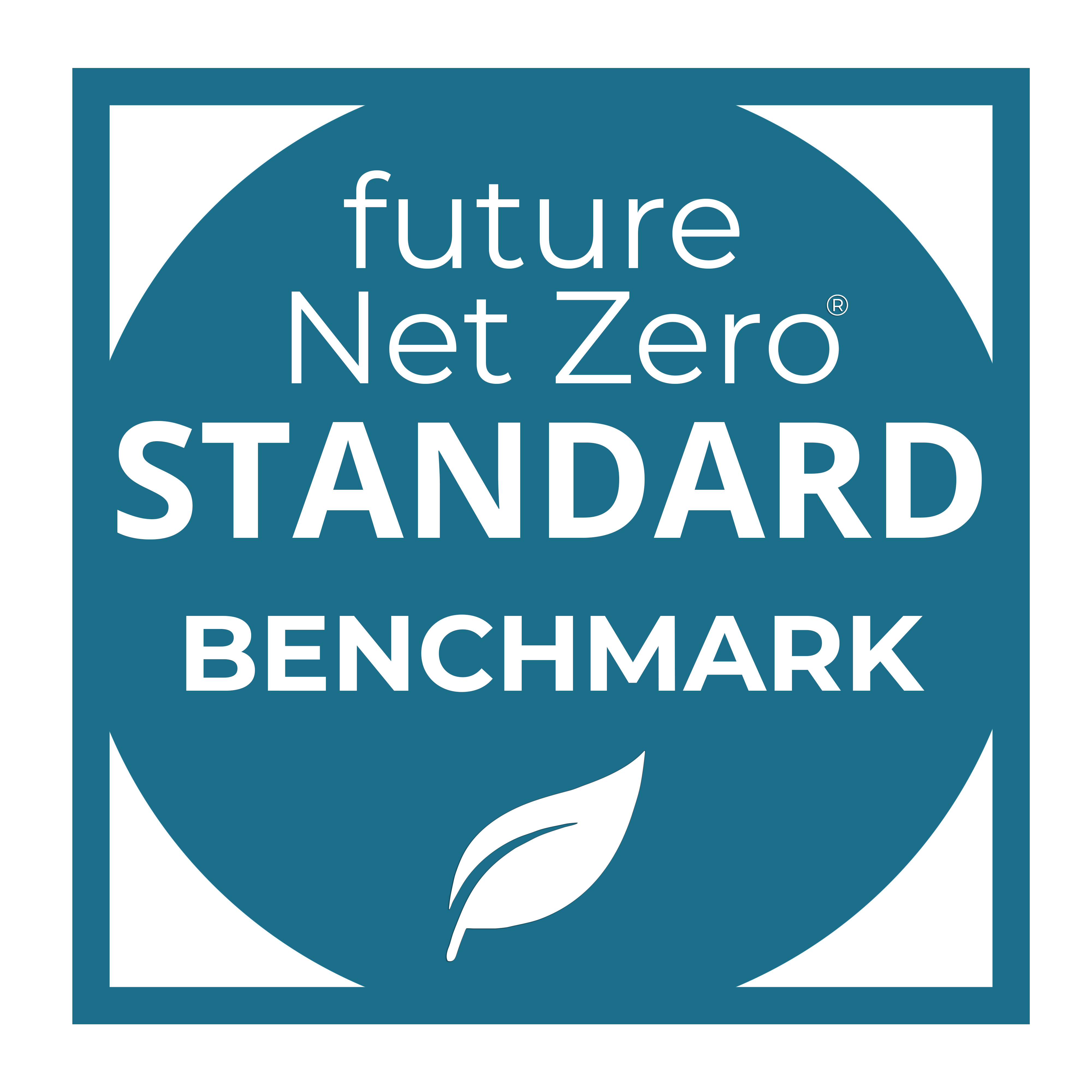 How can the future Net Zero Standard support your net zero goals? 
